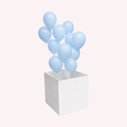 Baby Reveal Balloon Box