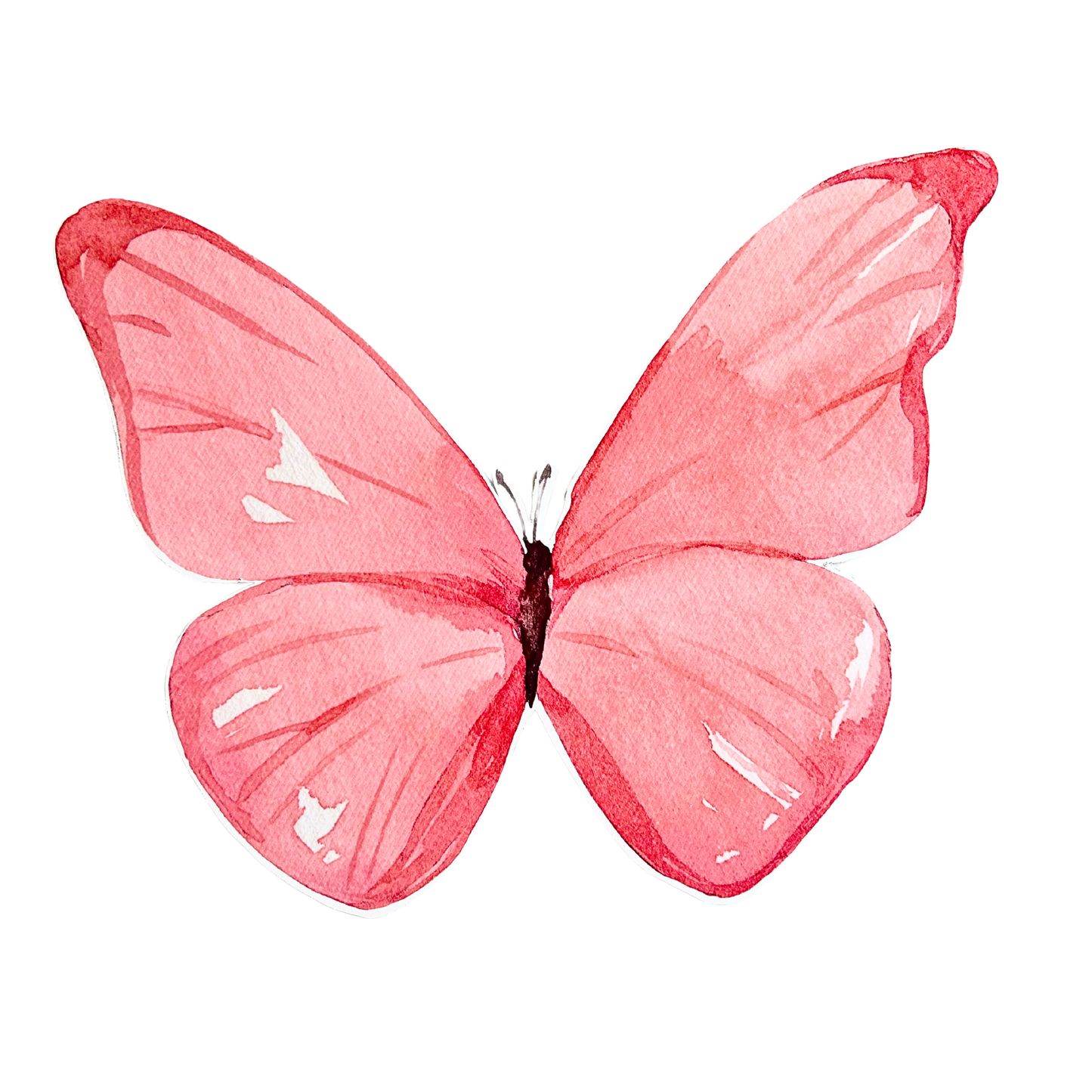 Pink Butterfly Foam Core Cutout