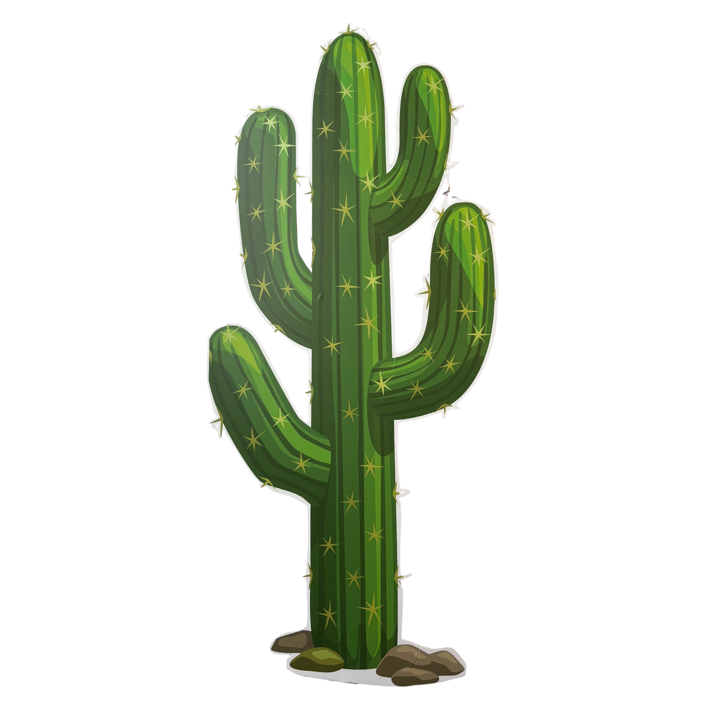 Cactus Foam Core Cutout