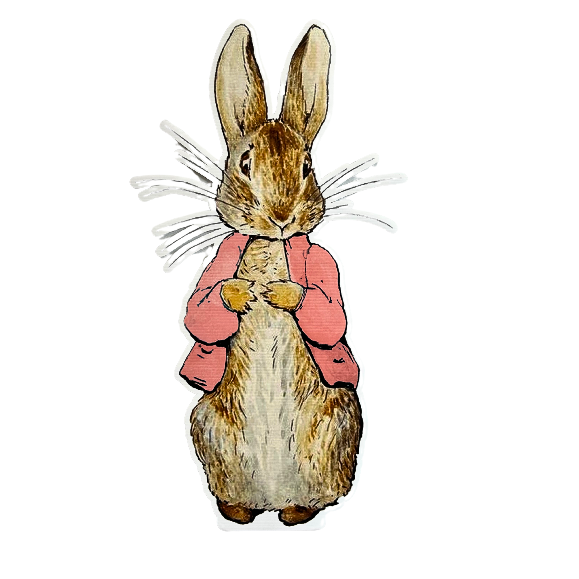 Rabbit Foam Core Cutout – Balloon Babe